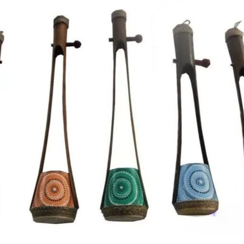 Musical Instrument Indian - Unusual Indian solo piano, niche instruments,