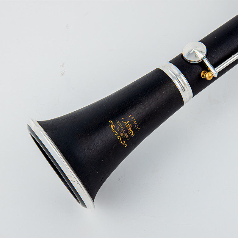 Japan Brand New Professional W - Musical Instrument Japan ulasan dan harga