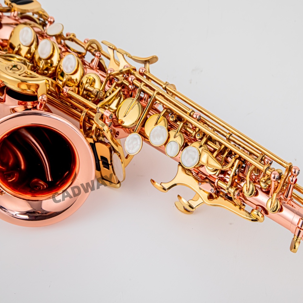 Japan Saxophone Soprano  B fla - Musical Instrument Japan ulasan dan harga