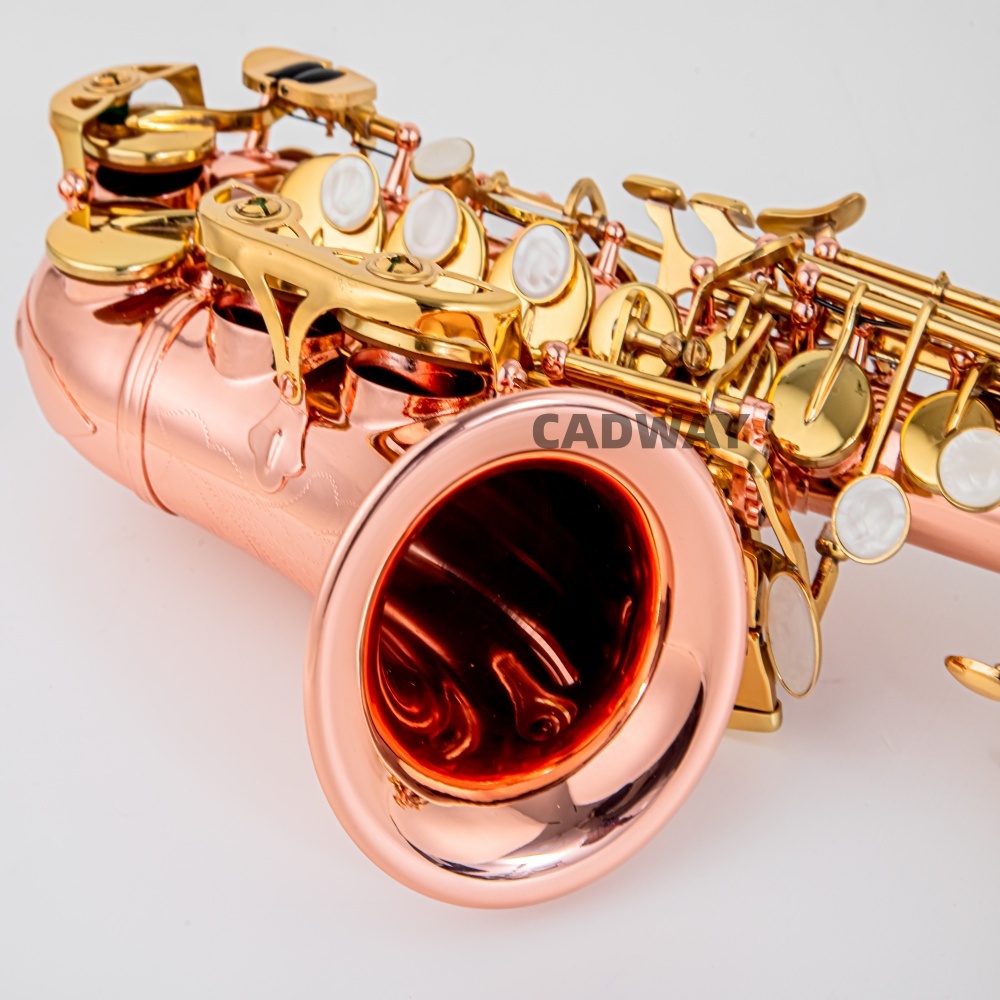 Japan Saxophone Soprano  B fla - Musical Instrument Japan ulasan dan harga